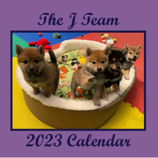 2023 Shiba PuppyCam Wall Agenda Kalender