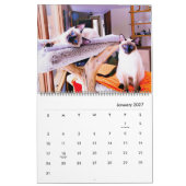 2023 Siamese Royalty Calendar Kalender (Jan 2027)