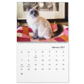 2023 Siamese Royalty Calendar Kalender (Feb 2027)