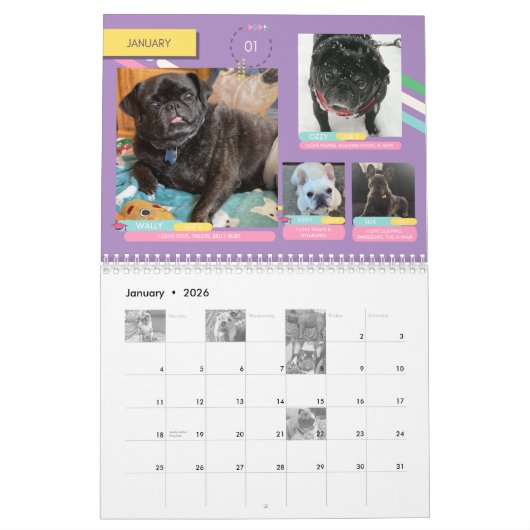 2023 SNORTE kalender (Jan 2026)