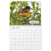 2023 Texas Bird Calendar Kalender (Mar 2027)