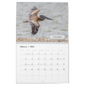 2023 Texas Bird Calendar Kalender (Feb 2026)