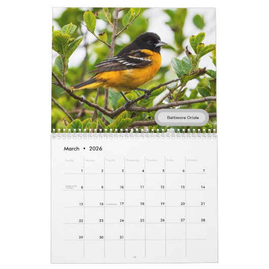 2023 Texas Bird Calendar Kalender (Mar 2026)