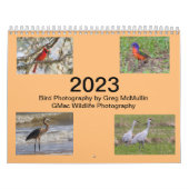 2023 Texas Bird Calendar Kalender (Hoes)