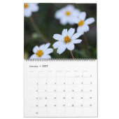 2023 Texas Wildflower Kalender (Jan 2027)