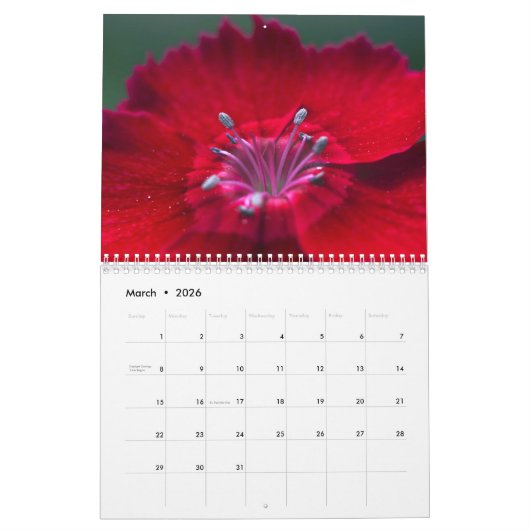 2023 van Lin's Garden Calendar Kalender (Mar 2026)