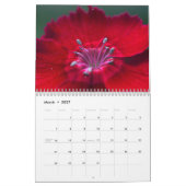 2023 van Lin's Garden Calendar Kalender (Mar 2027)