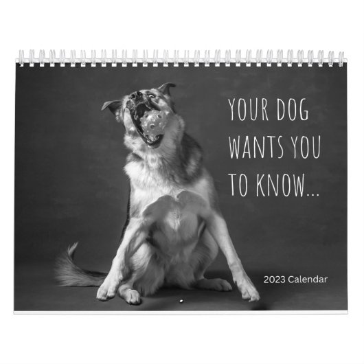 2023 Wandkalender - Dog Humor Kalender (Hoes)