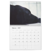 2024 12-maanden wandkalender kalender (Feb 2027)