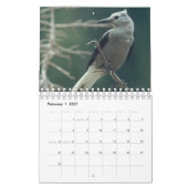 2024 12-Maands Vogels, Vlinders & Bloemenkalender Kalender (Feb 2027)