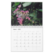 2024 12-Maands Vogels, Vlinders & Bloemenkalender Kalender (Mar 2027)