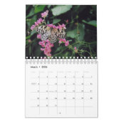 2024 12-Maands Vogels, Vlinders & Bloemenkalender Kalender (Mar 2026)