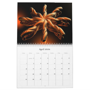 2024 3D Collectie Kalender