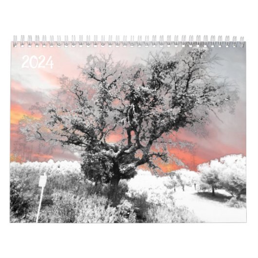 2024 Agenda Planner kunst en ontwerp Kalender (Hoes)