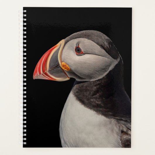 2024 Atlantische Puffin in Maine Planner (Voorkant)