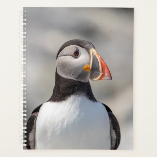 2024 Atlantische Puffin in Maine Planner (Voorkant)