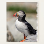 2024 Atlantische Puffin in Maine Planner (Achterkant)
