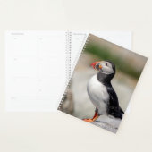 2024 Atlantische Puffin in Maine Planner (Display)