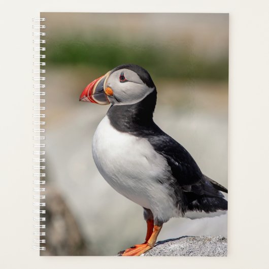 2024 Atlantische Puffin in Maine Planner (Voorkant)