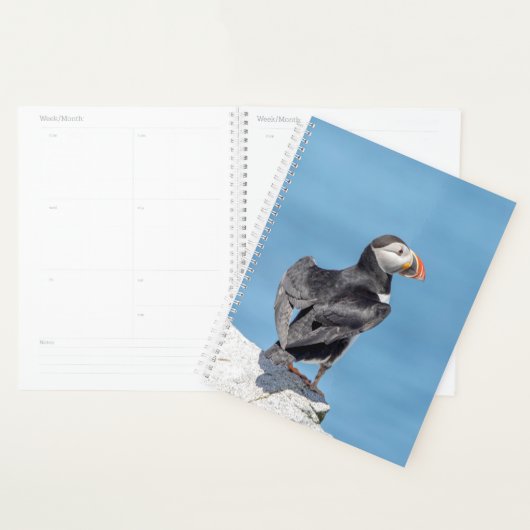 2024 Atlantische Puffin in Maine Planner (Display)