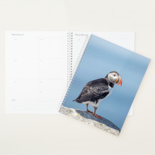 2024 Atlantische Puffin in Maine Planner (Display)