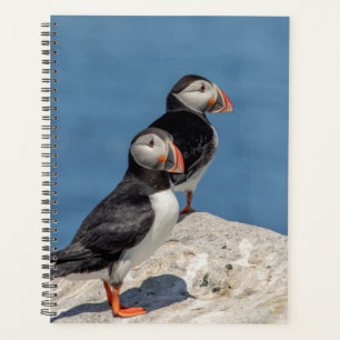 2024 Atlantische Puffins in Maine Planner