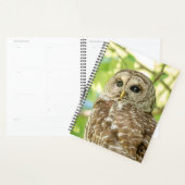 2024 Barred Owl Planner (Display)