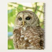 2024 Barred Owl Planner (Achterkant)