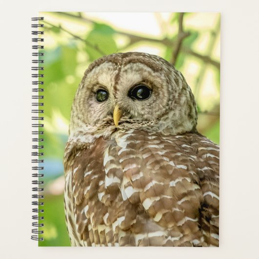2024 Barred Owl Planner (Voorkant)