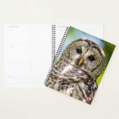 2024 Barred Owl Planner (Display)