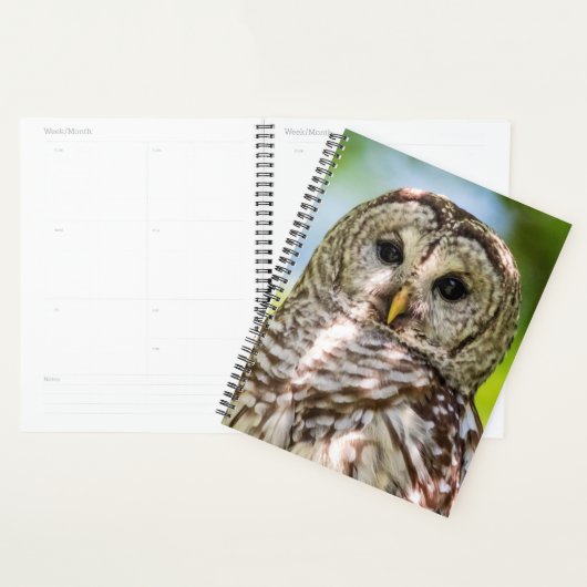 2024 Barred Owl Planner (Display)