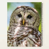 2024 Barred Owl Planner (Achterkant)