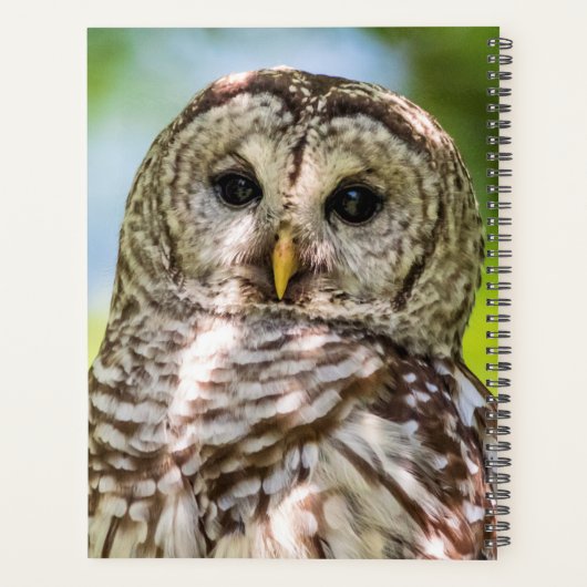 2024 Barred Owl Planner (Achterkant)