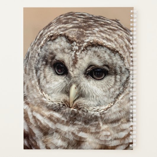2024 Barred Owl Planner (Achterkant)