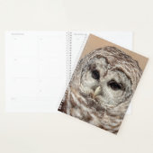 2024 Barred Owl Planner (Display)