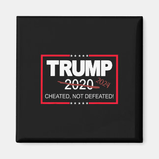 2024 bedrogen niet verslagen Save and Take America Magneet