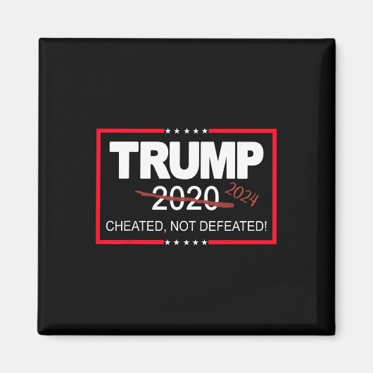 2024 bedrogen niet verslagen Save and Take America Magneet (Voorkant)