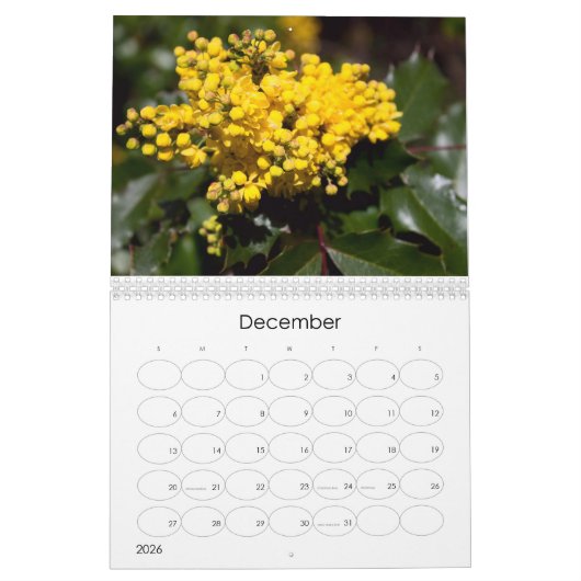2024 Bloemen explosie kalender (Dec 2026)