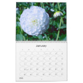 2024 Bloemen explosie kalender (Jan 2026)