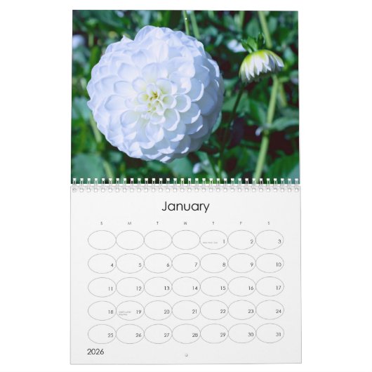 2024 Bloemen explosie kalender (Jan 2026)