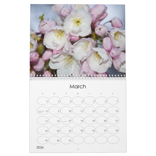 2024 Bloemen explosie kalender (Mar 2026)