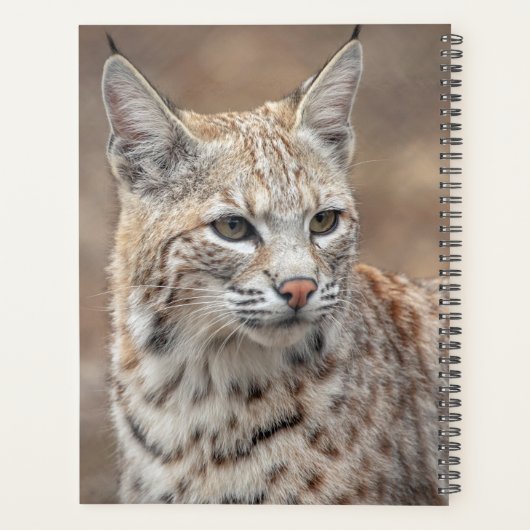 2024 Bobcat in New Jersey Planner (Achterkant)