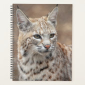 2024 Bobcat in New Jersey Planner (Voorkant)