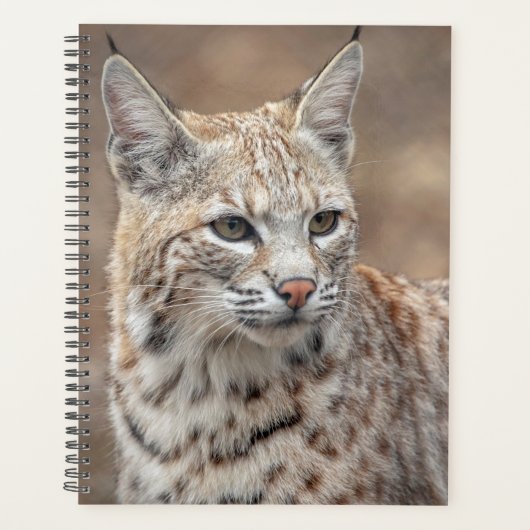2024 Bobcat in New Jersey Planner (Voorkant)