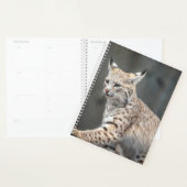 2024 Bobcat Planner (Display)
