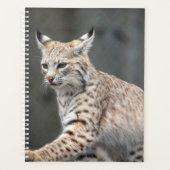2024 Bobcat Planner (Voorkant)