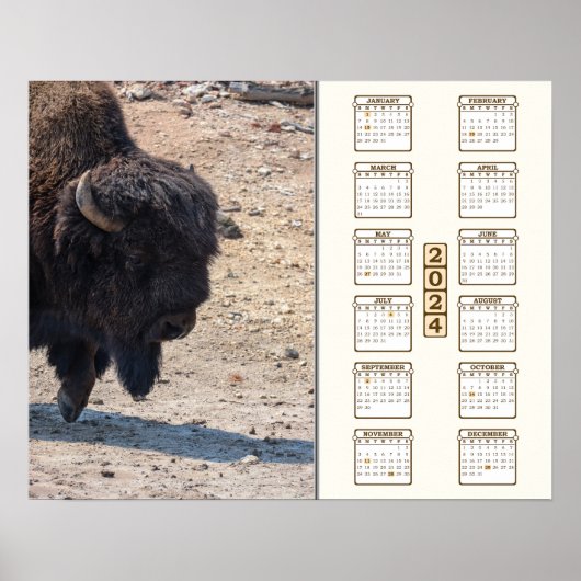 2024 - "Buffel" Poster (Voorkant)