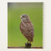 2024 Burrowing Owl Planner (Achterkant)