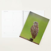 2024 Burrowing Owl Planner (Display)