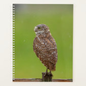 2024 Burrowing Owl Planner (Voorkant)